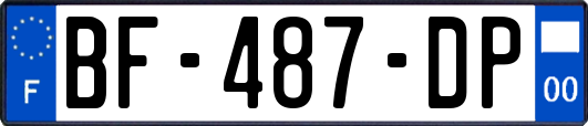 BF-487-DP