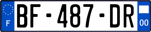 BF-487-DR