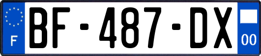 BF-487-DX