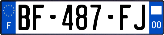 BF-487-FJ