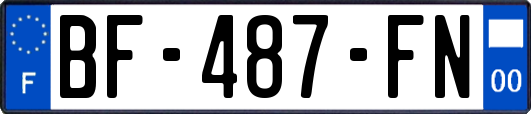 BF-487-FN