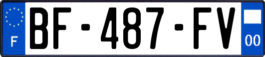 BF-487-FV