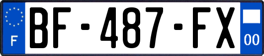 BF-487-FX
