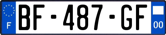 BF-487-GF