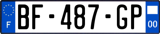 BF-487-GP