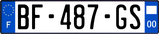 BF-487-GS