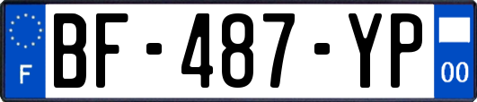 BF-487-YP