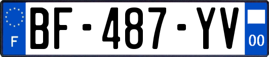 BF-487-YV