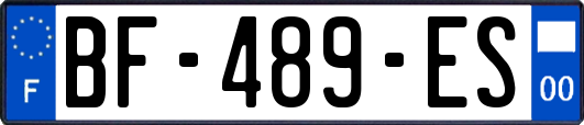 BF-489-ES