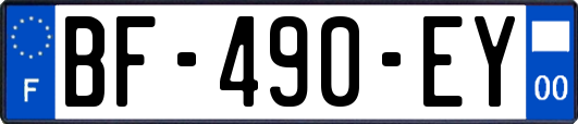 BF-490-EY