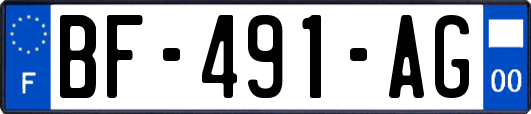 BF-491-AG