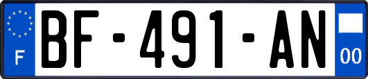 BF-491-AN