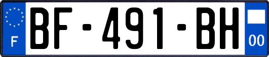 BF-491-BH