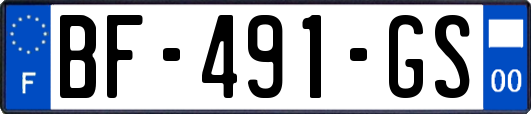 BF-491-GS
