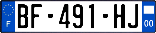 BF-491-HJ