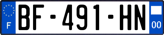 BF-491-HN