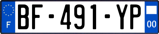 BF-491-YP