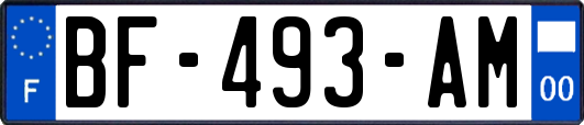 BF-493-AM