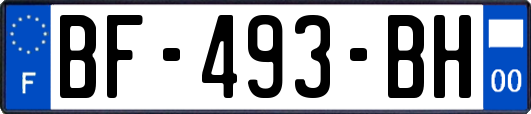 BF-493-BH