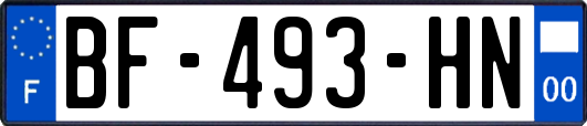 BF-493-HN
