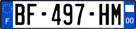 BF-497-HM