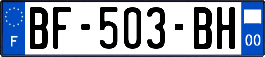 BF-503-BH