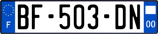 BF-503-DN