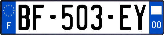 BF-503-EY
