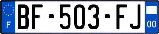 BF-503-FJ