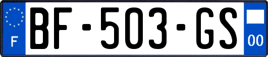BF-503-GS