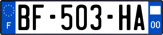 BF-503-HA