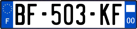 BF-503-KF