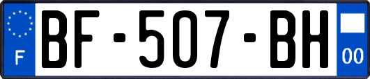 BF-507-BH