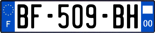 BF-509-BH