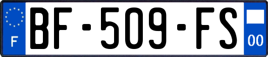 BF-509-FS