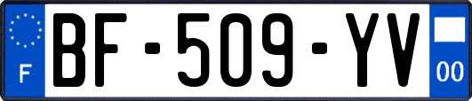 BF-509-YV