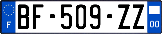 BF-509-ZZ