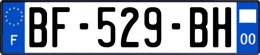 BF-529-BH