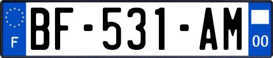 BF-531-AM