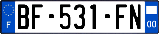 BF-531-FN