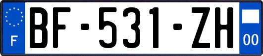 BF-531-ZH