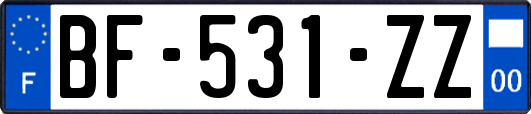 BF-531-ZZ