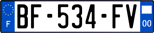 BF-534-FV