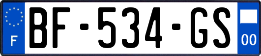 BF-534-GS