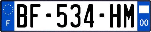BF-534-HM