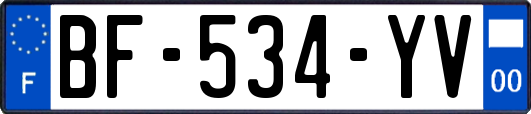BF-534-YV