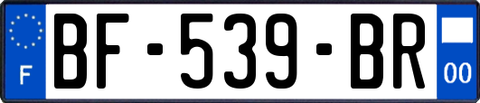 BF-539-BR