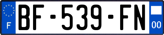 BF-539-FN