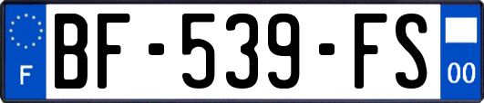 BF-539-FS