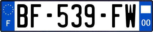 BF-539-FW